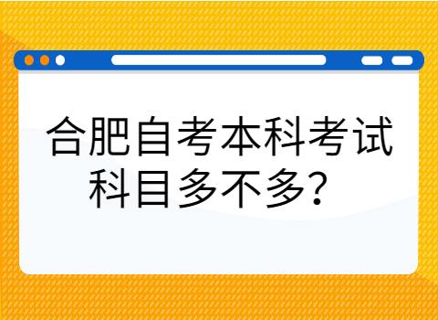 合肥自学本科考试有哪些专业