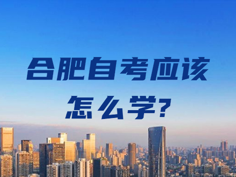 合肥自考应该怎么学?