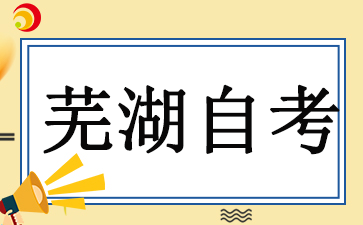 芜湖自学考试考试时间2024